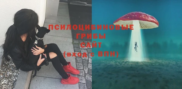 круглые Алексин