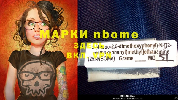 PSILOCYBIN Алзамай