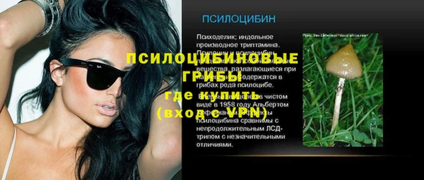 PSILOCYBIN Алзамай